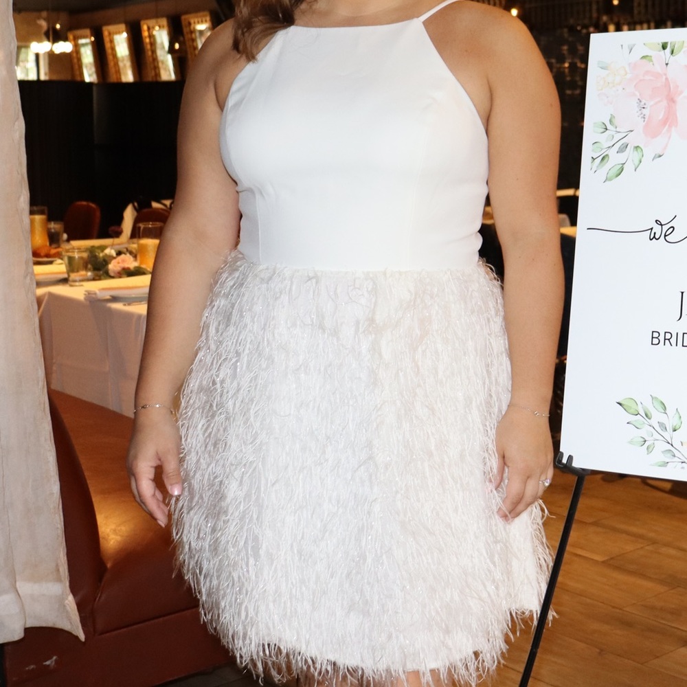 BCBGMaxazria Ilara Feather Mini Dress - Worn Once!